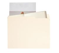 Dtaigou Cartelle Per Documenti,Cartelline con Linguette a 1/3 Formato A4-100 Pezzi Di Forniture Per Organizzazione Documenti In Aula Per Archiviazione Bollette Domestiche, Contratti Aziendali E
