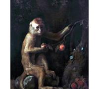 DTAUPREB Dipingi con i numeri per adulti e bambini scimmietta kit fai da te per pittura a olio digitale su tela decorazione