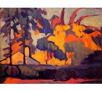 DTAUPREB Kit di pittura con i numeri per principianti Edge Of The Woods pittura a olio su tela fai da te con pennelli e pigmento acrilico