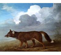 DTAUPREB Ritratto di un cane di grandi dimensioni kit fai da te per dipingere con i numeri per adulti e bambini regalo artistico di pittura a olio