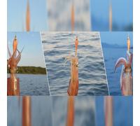 DTD SOFT REAL FISH 1.5 - LUNGHEZZA (MM): 55, EGI: 1.5, COLORE: SARAGO