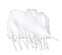 Dtoterul Piume Bianche 100 Piezas Piuma Artificiale Piume Bianche Decorative Piume Bianche Artificiale Passamaneria Piume Festival di Nozze Decorazioni Domestiche del Partito per Acchiappasogni
