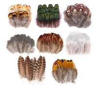 Dtoterul Piume di Fagiano 220 Pezzi Piume Decorative Lunghe Piume Artigianali Piuma Artificiale di Pollo Fagiano Piume Spot Piuma Artificiale Piume Marroni Piume Colorate Piume Decorative