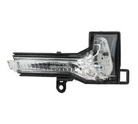DTV Freccia Specchio Retrovisore LED Destra Per Audi A1 GBH/GBA 07/18-