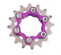 DTYBJN Cassette e pignoni Ruote libere per Mountain Bike A2UF, volano monomarcia ad Alta Resistenza, Cassette per Bici in Acciaio, pignoni Ruota Libera(16T)