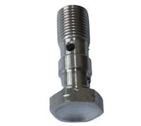 DTYBJN Pinza Freno a Disco Bullone Banjo Singolo Doppio in Acciaio Inossidabile M10x1 M10x1,25 per Pompa Freno e Frizione(Double M10x1)