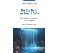 Du Big Data au Smart Data: Révolution des données et IA économe