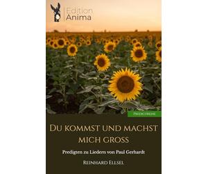 Du kommst und machst mich groß: Predigten zu Liedern von Paul Gerhardt