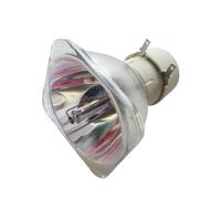 DUAEANXI Lampada di ricambio for proiettore SP-LMP-094 for proiettori Info-cus IN124x IN126x IN128HDSTx IN128HDx IN2124x IN2126x IN2128HDx(Bulb only)