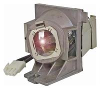 DUAEANXI Lampada for proiettore RLC-109 for proiettori VIEWS-ONIC PA503W / PG603W / VS16907 / PS501W / PS600W(RLC-109-CBH)