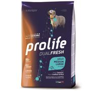 Dual Fresh Adult Medium/Large Salmon Codfish & Rice - 12KG