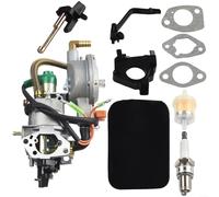Dual Fuel Carburetor Kit per lpg per generatore gx390 188F 5.5KW