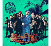 Dualers - Palm Trees & 80 Degrees