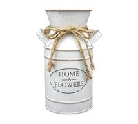 Dualoai Vaso per Il Latte, Vaso per Fiori per Il Giardino, Versatile, Rustico, Contenitore per La Conservazione, Vaso per Fiori per Casa, Ufficio, Festa, B