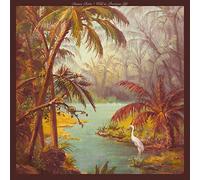 Duane Betts – Wild & Precious Life