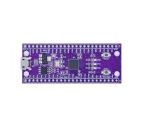 Duanthry Scheda di Sviluppo Potenziata Touch & Periferica Integrazione W806 MCU Scheda di Sviluppo IoT Flat Low Power MCU Chip Core Board