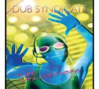 Dub Syndicate - Pure Thrill Seekers