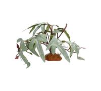 Dubbulon Piante per Rettili da Terrario - Vegetazione Artificiale Decorazioni Acquatiche,Foglie Artificiali per Drago Barbuto,per Pesci Tartarughe Betta Gechi Camaleonti Rane Anfibi