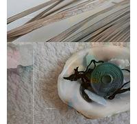 Dubrovnik Damien - Great Many Arrows