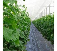 DUBTEDHOU Tessuto per Il Controllo delle Erbacce, Copertura del Terreno da Giardino in Tessuto PP for Il Controllo delle Erbacce, Linee Guida Verdi Nere, Dimensioni Multiple(0.91x46m/3x150ft)