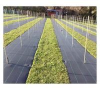 DUBTEDHOU Tessuto per Il Controllo delle Erbacce, Tessuto barriera Contro Le Erbacce Nero 0,6 m/1 m x 10 m-200 m(1mx70m/3.3ftx230ft)