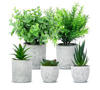 DUBUOZA 5 PCS Piante Artificiali con pentole, Mini Piante finte Serpentine, Agave Succulente, Aloe Artiglio d'Aquila Per la decorazione di scrivania, balconi e uffici