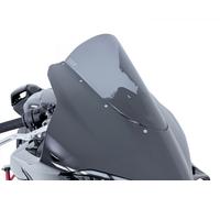 Ducati 1100 Panigale V4 R/S -25/26 - parabrezza Gara Racing Fumé WRS / DU034FS