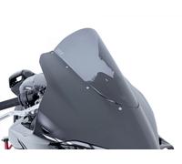 Ducati 1100 Panigale V4 R/S -25/26 - parabrezza Gara Racing Fumé WRS / DU034FS