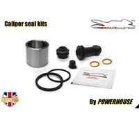 Ducati 800 Scrambler Icon Scuro 2020 Pinza Freno Posteriore Kit Revisione