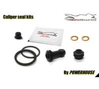 Ducati 800 Scrambler Icon Scuro 2020 Pinza Freno Posteriore Ricambio Guarnizioni