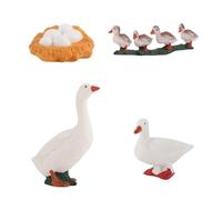 Duck Life Cycle Learning Toys - 4 Piece Educational Science Set | Realistic Preschool Biology Figures for Kids, Montessorii Science Toys for Classroom, Garden & Terrarium Decor