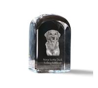 Duck Tolling Retriever della Nuova Scozia cristallo sigillo sigillo con cane Art