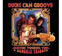 Ducks Can Groove - Electric Voodoo Vibe [a Hendri