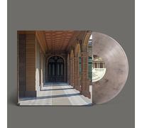 Ducks Ltd. Modern Fiction (5 Year Anniversary Edition) (Vinyl LP)