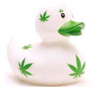 Duckshop I Anatre da bagno tradizionali olandesi (cannabis anatra balneare)