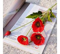 DUDNJC 10 fiori artificiali di papaveri rossi, stelo lungo 58,4 cm, realistici al tatto, in seta, con foglie, per matrimoni, vacanze, bouquet da sposa, decorazione per la casa e le feste