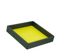 DUDU Svuotatasche in Pelle Colorato di Design da Ingresso Porta Oggetti con Scatola Regalo Mangrove