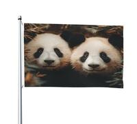 Due adorabili cuccioli di panda, 1,2 x 1,8 m, bandiera double-face, resistente, per esterni e giardino, perfetta per camera da letto e giardino