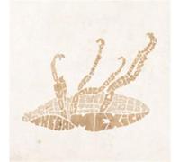Due – Bad Mexican (The) – CD audio – Lizard