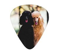 Due barboncini reali Autumn,12 pezzi di plettri per chitarra, 3 plettri di diverso spessore per chitarra acustica, basso, ukulele