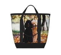 Due barboncini reali Autumn,Borsa porta pranzo grande capacità isolata per donne e uomini, lavoro, picnic, viaggi