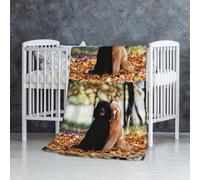 Due barboncini reali Autumn,Coperta morbida, calda, anti-pilling, in flanella, peluche, 76 x 127 cm