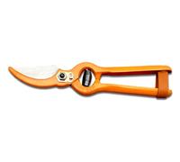 DUE BUOI CLASSICA FORBICE DA VIGNA DB 125/21V