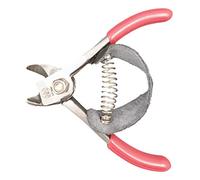 DUE BUOI COGLIAGRUMI