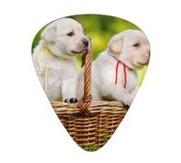 Due cani in un cesto stampato,12 pezzi di plettri per chitarra, 3 plettri di diverso spessore per chitarra acustica, basso, ukulele