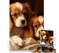 Due Cavalier King Charles Spaniel, puzzle per adolescenti, 1000 pezzi, stimola l'intelletto, divertimento, tempo ben speso, bordi precisi, regalo per le vacanze (38x52cm)