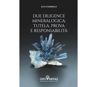 DUE DILIGENCE MINERALOGICA: TUTELA, PROVA E RESPONSABILITÀ