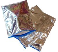 DUE ESSE S.N.C. DI SABATINI ALDO PZ 20 BUSTA TERMICA CM 31 X 40 COLORE ARGENTO SACCHETTO RICHIUDIBILE PER TRASPORTO ALIMENTI CONGELATI