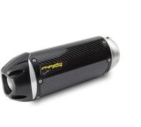 Due Fratelli Racing S1R Yamaha FJ 09 '15-16 Standard Carbon 005-4170105-S1