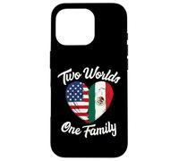 Due Mondi Una Famiglia Messicana Americana Patrimon Custodia per iPhone 16 Pro